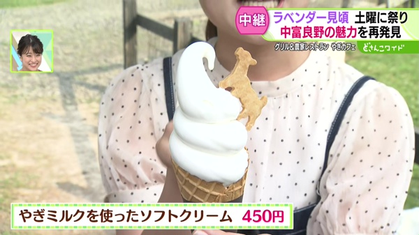 やぎミルクを使ったソフトクリーム　４５０円