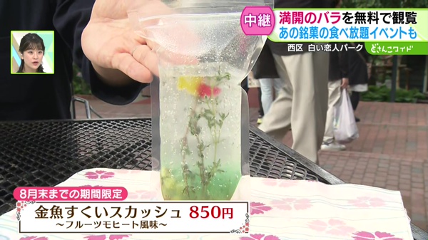 金魚すくいスカッシュ〜フルーツモヒート風味〜８５０円