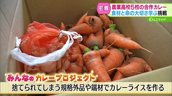 捨てられてしまう規格外品や端材でカレーライスを作る