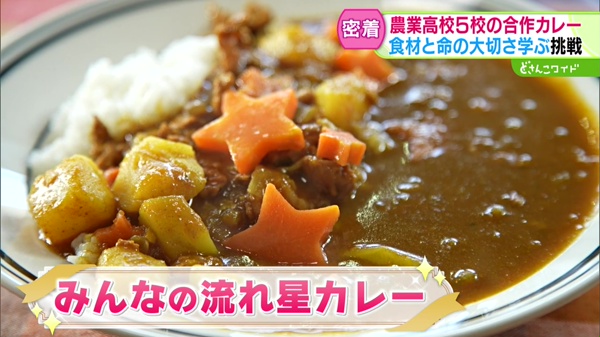 みんなの流れ星カレー