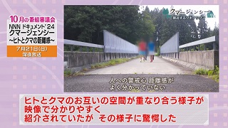 番審委員意見「クマージェンシー 〜ヒトとクマの距離感〜」（１）画像